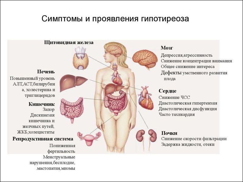 Лидирующие причины синдрома хронической усталости и эндогенной депрессии