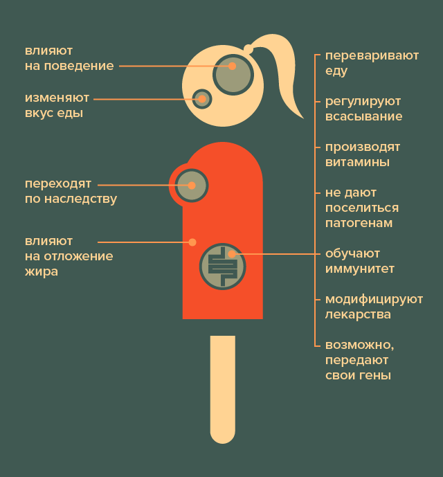 Чего от нас хотят микробы