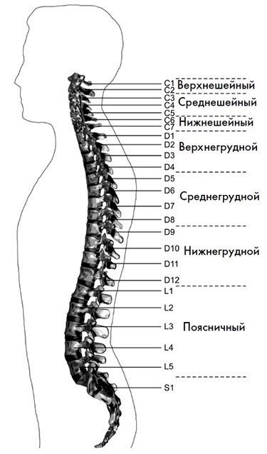 Лечебные движения для снятия головной боли