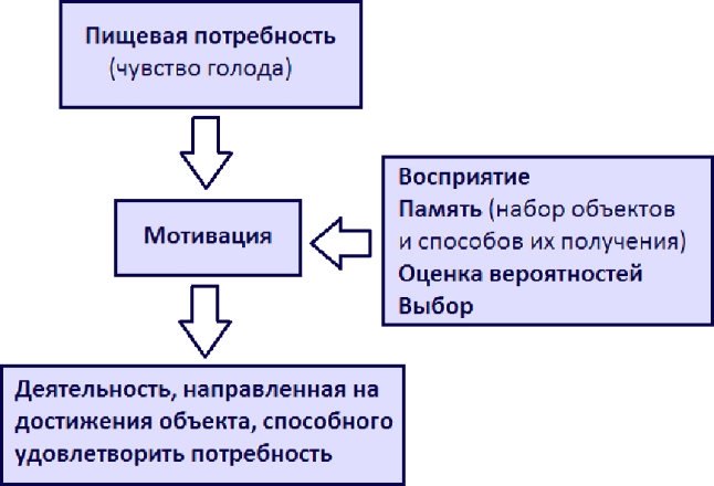 Избирательность в еде у детей — взгляд нейропсихолога