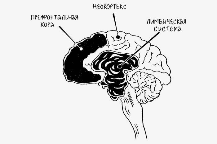 Еще одну серию и спать: как мозг подавляет силу воли