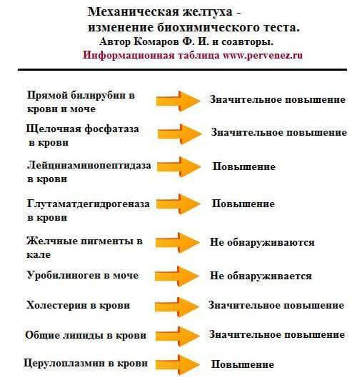 Печеночные пробы: нормы и расшифровка анализа