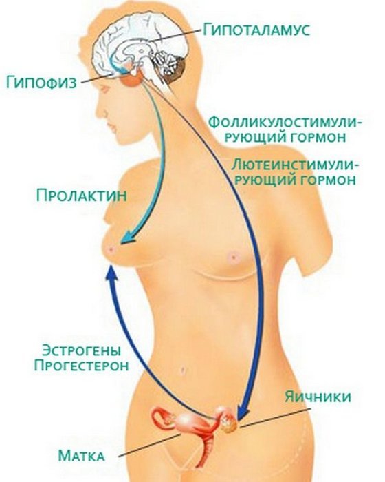 Самое ВАЖНОЕ о женском здоровье