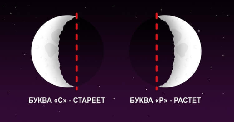 9 школьных хитростей, которые пригодятся и во взрослой жизни