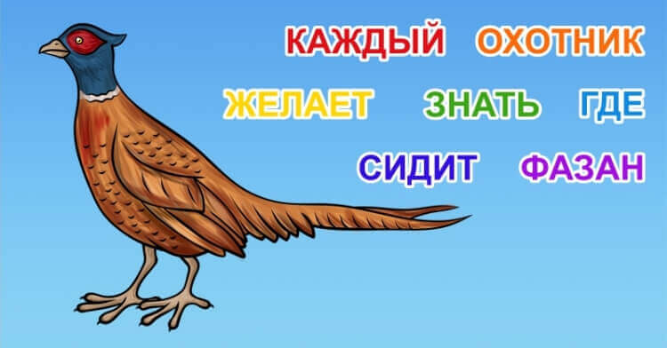 9 школьных хитростей, которые пригодятся и во взрослой жизни