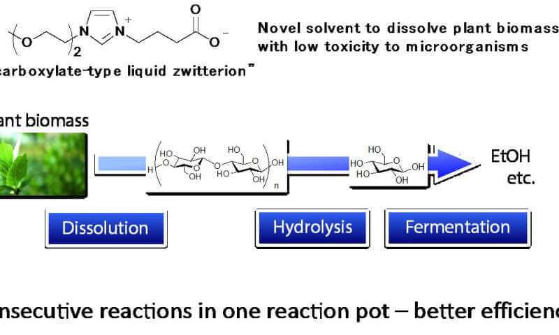 Новый растворитель дает возможность производству биотоплива следующего поколения 