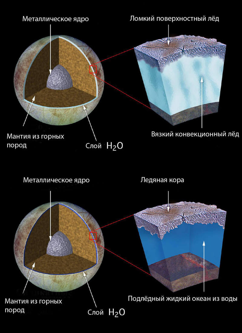 Поиск жизни в Солнечной системе