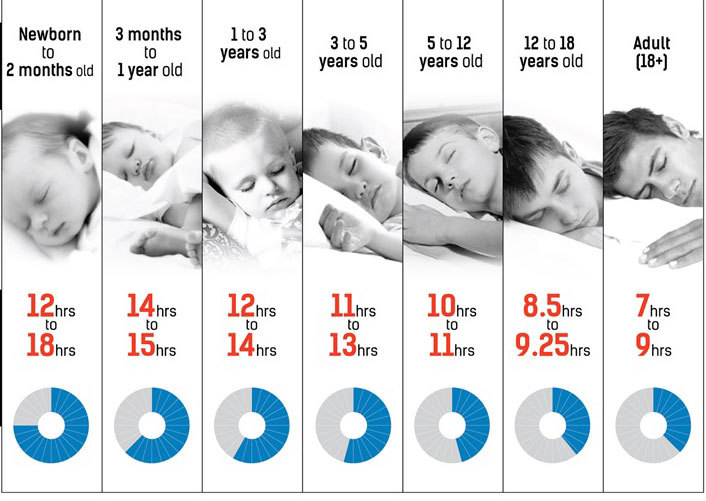 Сколько в вашем возрасте необходимо спать