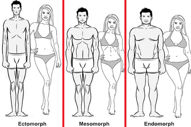 Телосложение и болезни: в чем связь