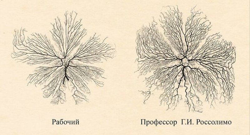 Сложный способ стать счастливым