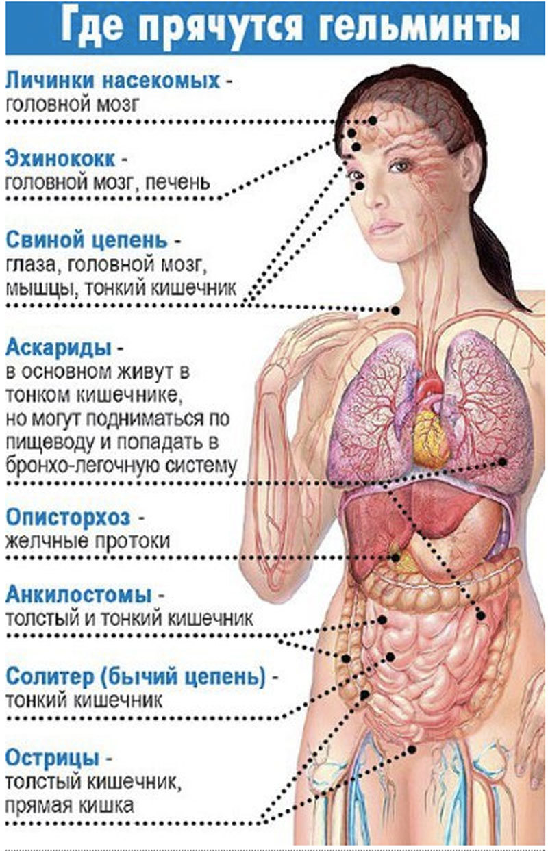 Как избавиться от паразитов: советы Аюрведы