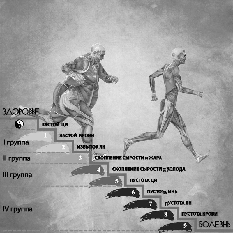 9 конституциональных типов китайской медицины