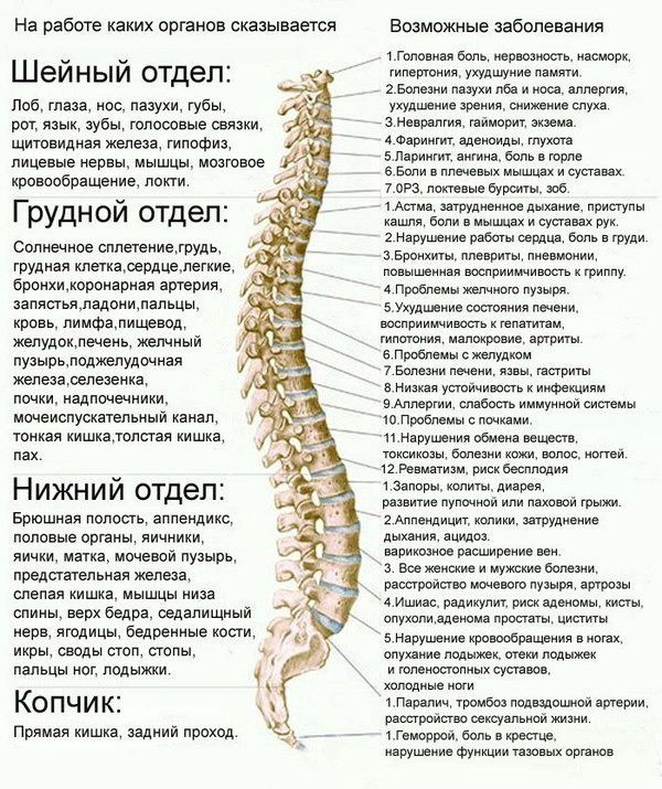 Боли отдельных позвонков и что это означает