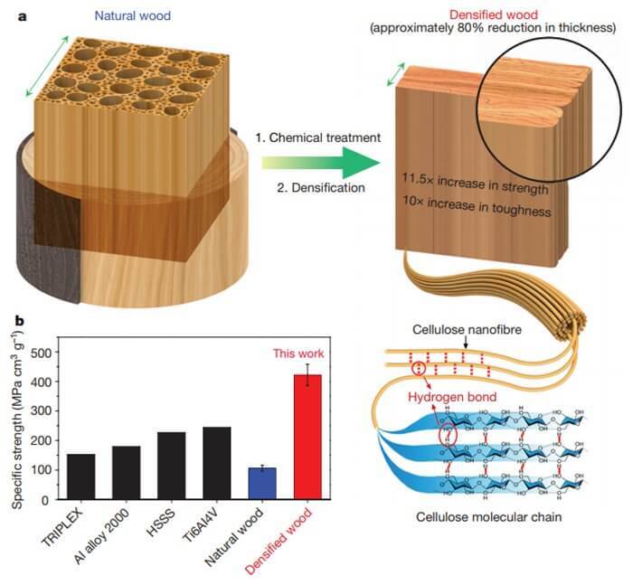 Разработан способ сделать древесину такой же прочной, как сталь