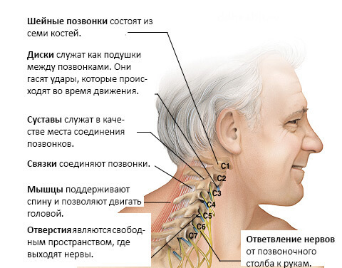 Шейный остеохондроз: 6 упражнений против головокружений