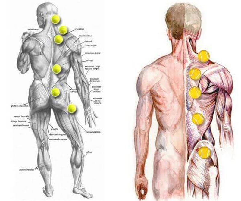 Как избавиться от боли в спине с помощью теннисного мяча