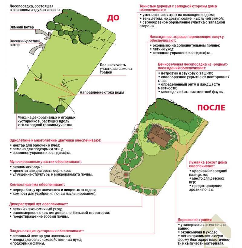 Пассивный ландшафт для энергоэффективного дома: как использовать ресурсы участка