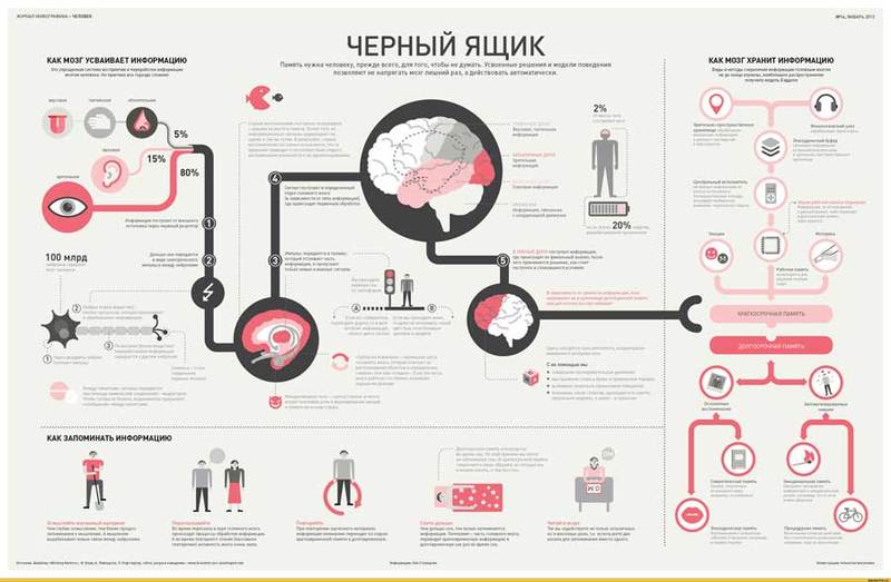 Болезнь Альцгеймера: 2 вещества, которые предотвращают возрастное снижение умственных способностей