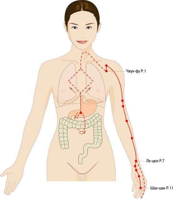 Канал лёгких: ­ВЕЛИКИЙ Инь