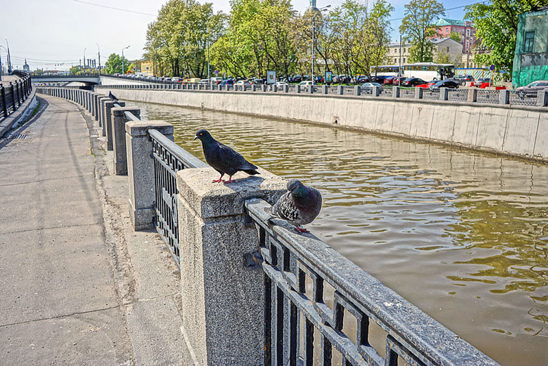 Город, с которым ты не сможешь не вступить в отношения