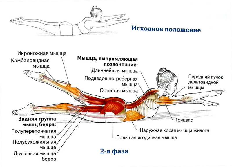 Омолаживающие упражнения для спины