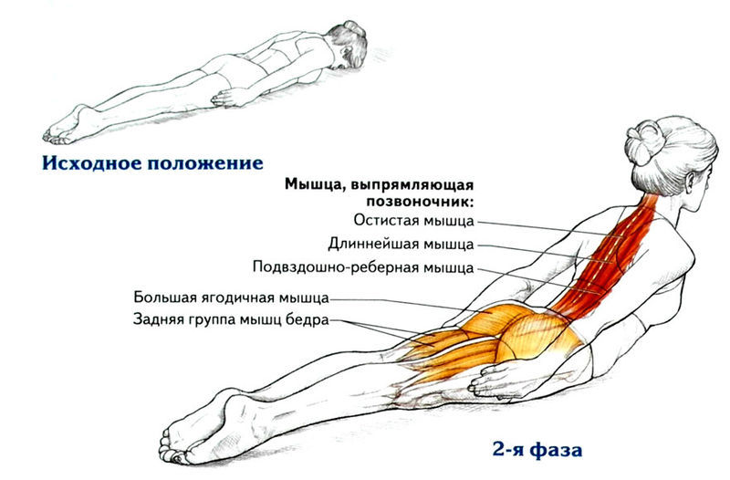 Омолаживающие упражнения для спины