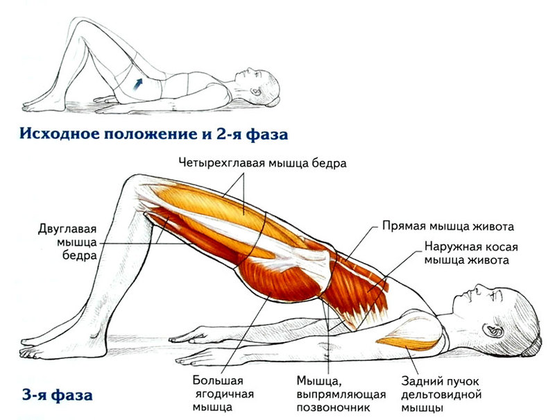 Омолаживающие упражнения для спины