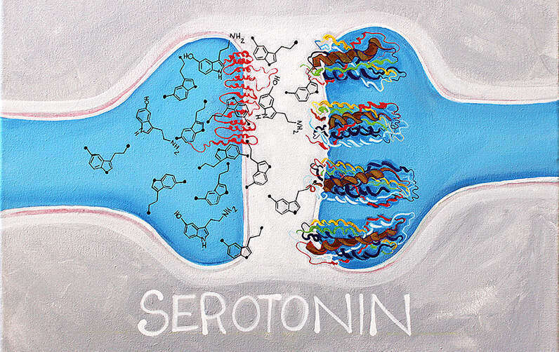 Что же такое СЕРОТОНИН и почему он оказывает такое влияние?