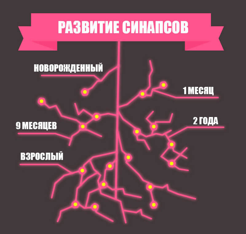 ЧЕМ ОТЛИЧАЕТСЯ МОЗГ РЕБЕНКА ОТ ВЗРОСЛОГО