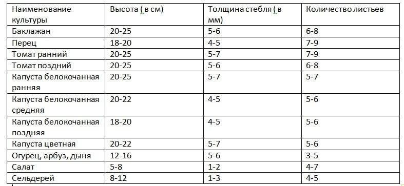 Когда высаживать овощную рассаду в грунт и в теплицы