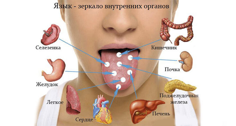 ОЧИЩЕНИЕ ОРГАНИЗМА АГАР-АГАРОМ ПО КАЦУДЗО НИШИ