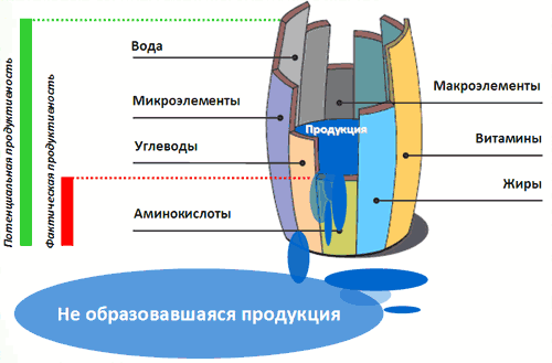 Бочка Либиха и ваше здоровье