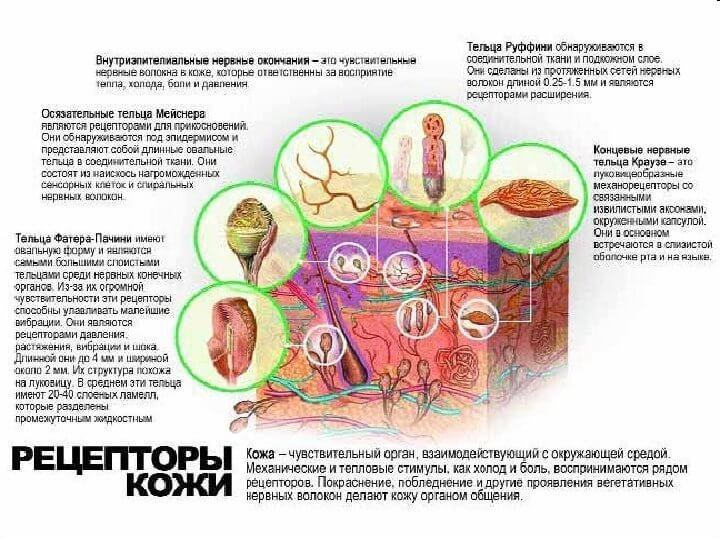 КОЖА и ПСИХОСОМАТИКА: Как избавиться от кожных заболеваний