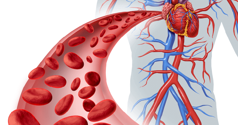 7 рецептов для хорошего кровообращения