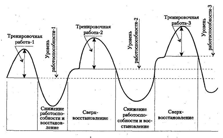 График - тренировочная работа и восстановление