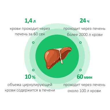 Парадоксы ПЕЧЕНИ: Как понять, что с печенью не все в порядке