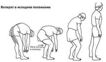 Лучшие упражнения для растяжения поясницы и задних мышц бедра