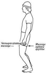 Лучшие упражнения для растяжения поясницы и задних мышц бедра