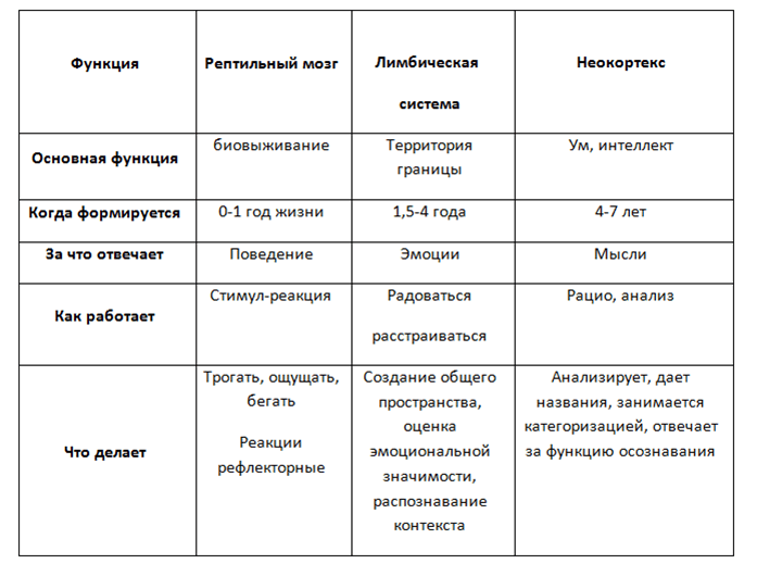 Триединый мозг как карта психических травм