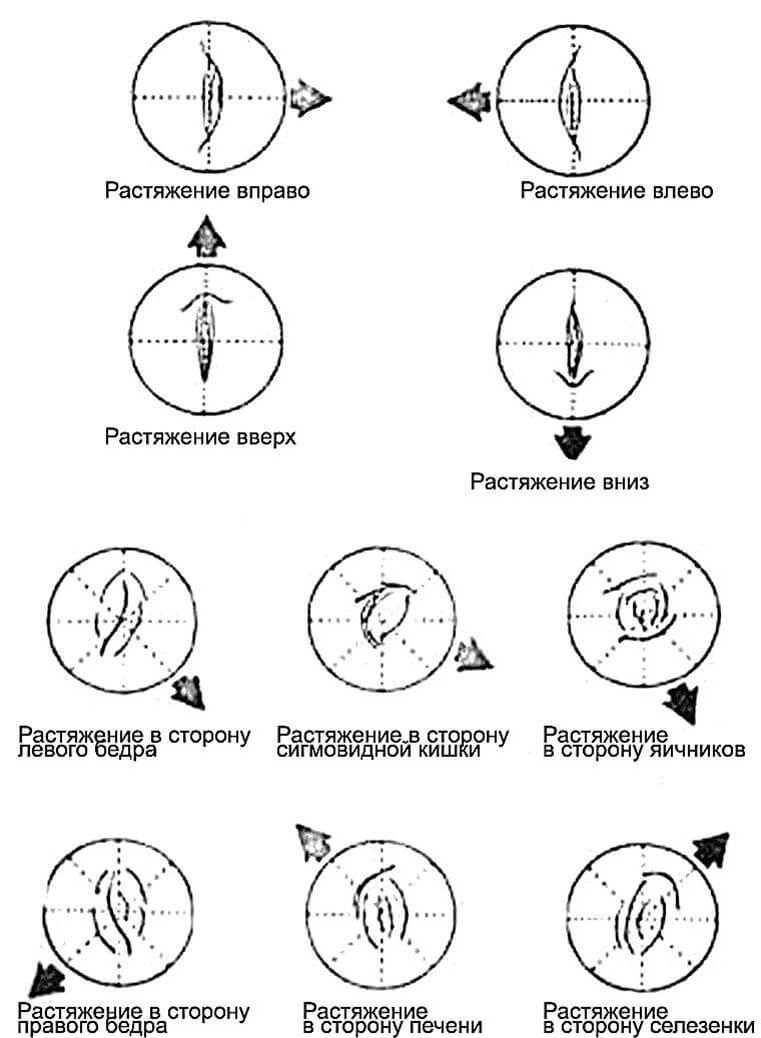 О каких заболеваниях может рассказать форма пупка