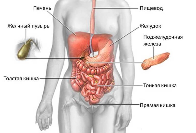 Болезнь Крона: Симптомы заболевания