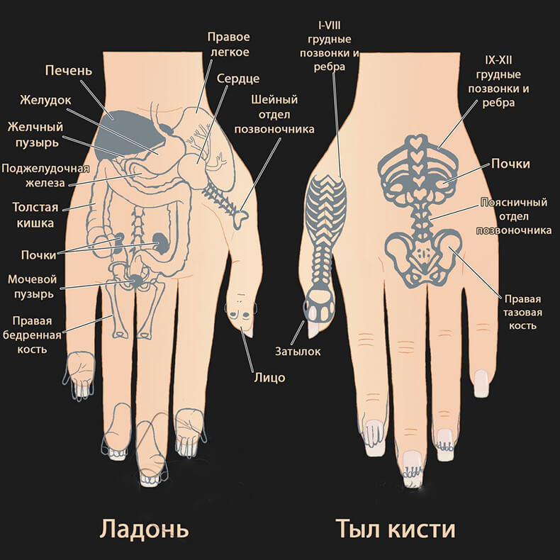 Су Джок ПОХУДЕНИЕ: ТАК ПРОСТО вы еще НЕ худели!