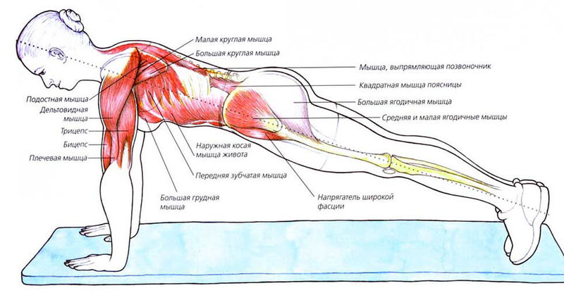Упражнение ПЛАНКА: 5 преимуществ для красоты и здоровья тела