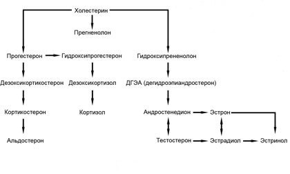 Щитовидная железа: интеллект, стройная фигура и хорошее настроение