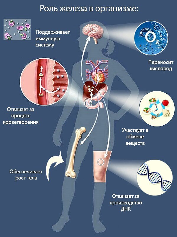 Дефицита железа у женщин: ЧЕМ грозит и ЧТО делать