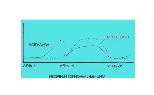 ГОРМОНЫ: ЭСТРОГЕН — вес, капризы, кости, сердце, память