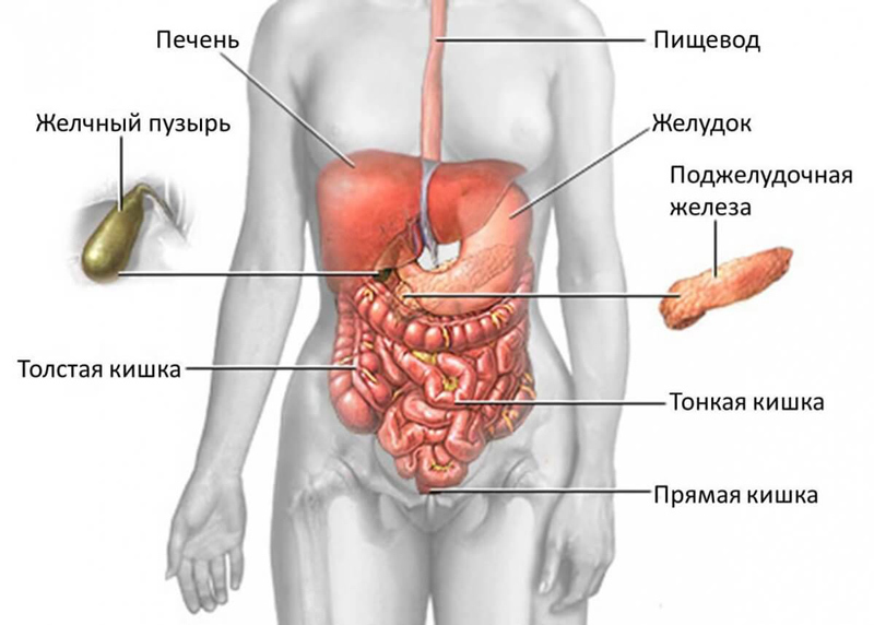 Желчный пузырь и Печень: Упражнения восточной медицины