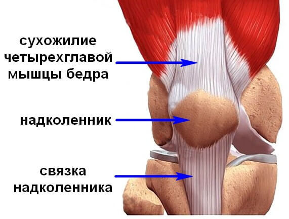 Упражнения-позы от хронических болей в коленях