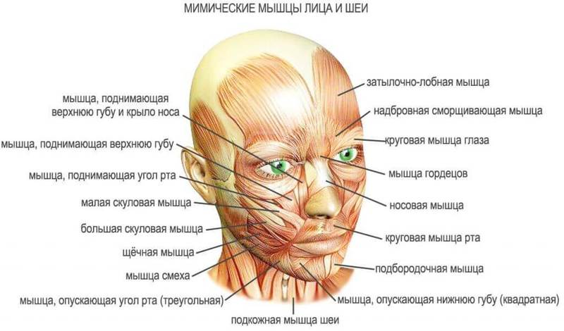 Техника омоложения: 8 простых упражнений на каждый день