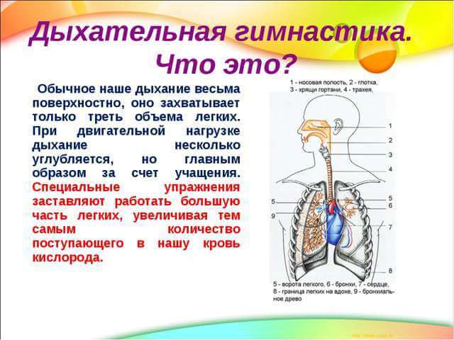 Высокое давление: Упражнения по методу Стрельниковой